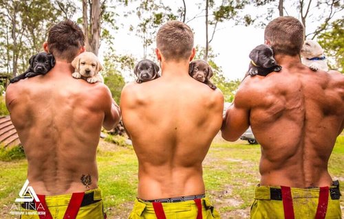 Pompiers Chiots Et Chatons Un Calendrier Top Sexy Pour La Bonne Cause