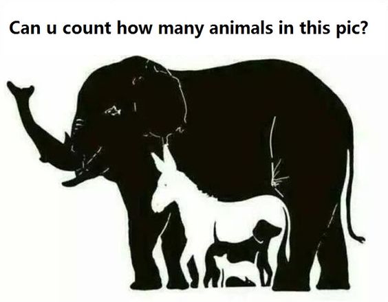 devinette combien d'animaux sur la photo
