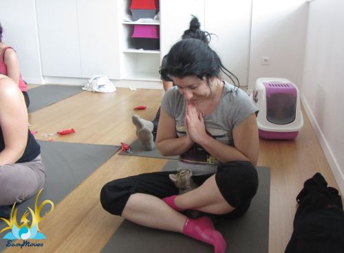 Cat Yoga avec l'association ERA