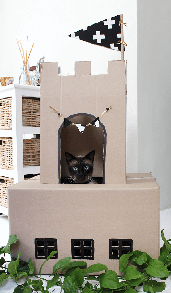 cabane en carton pour chat