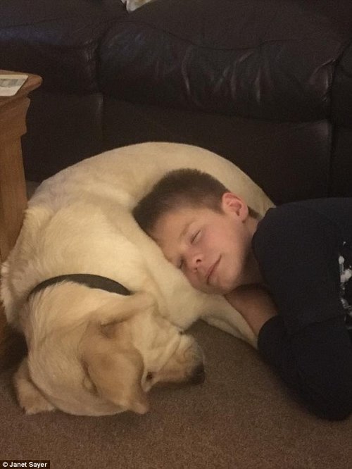 Joel, jeune autiste,et son chien