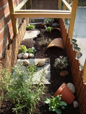 Atelier DIY : Un enclos extérieur pour ma tortue de terre - Blog