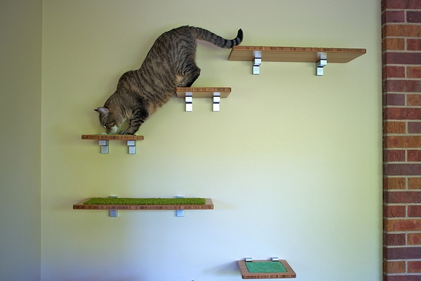 Arbre à chat mural pour chat avec étagères